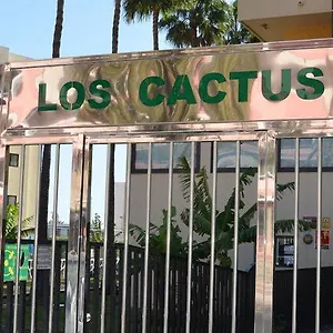 Cactus * Playa del Inglés