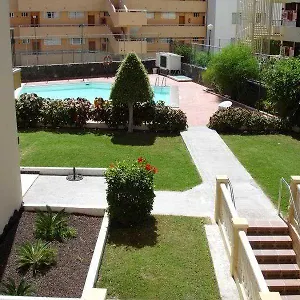 Ficus Playa Del Inlges